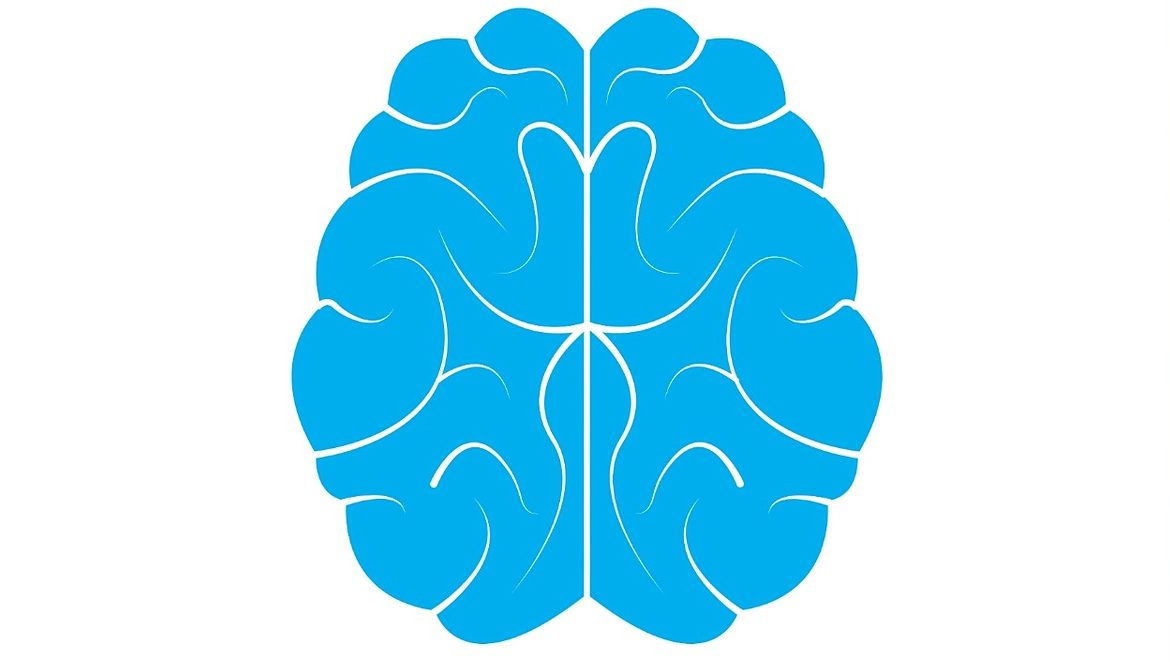 brain development icon